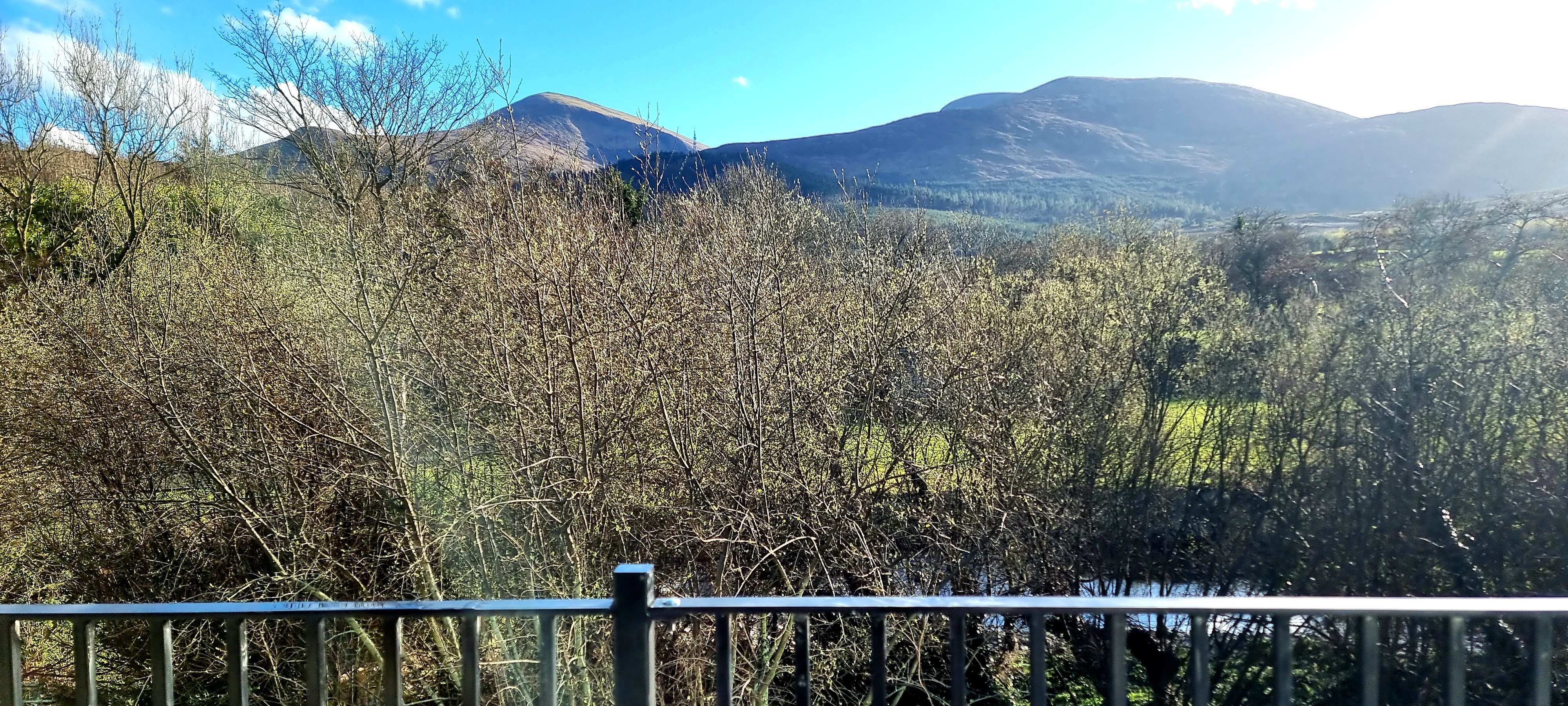 View of the Mournes and the Shimna river from the terrace